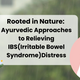Lifechart Ayurveda