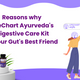 Reasons why LifeChart Ayurveda's Digestive Care Kit is Your Gut's Best Friend
