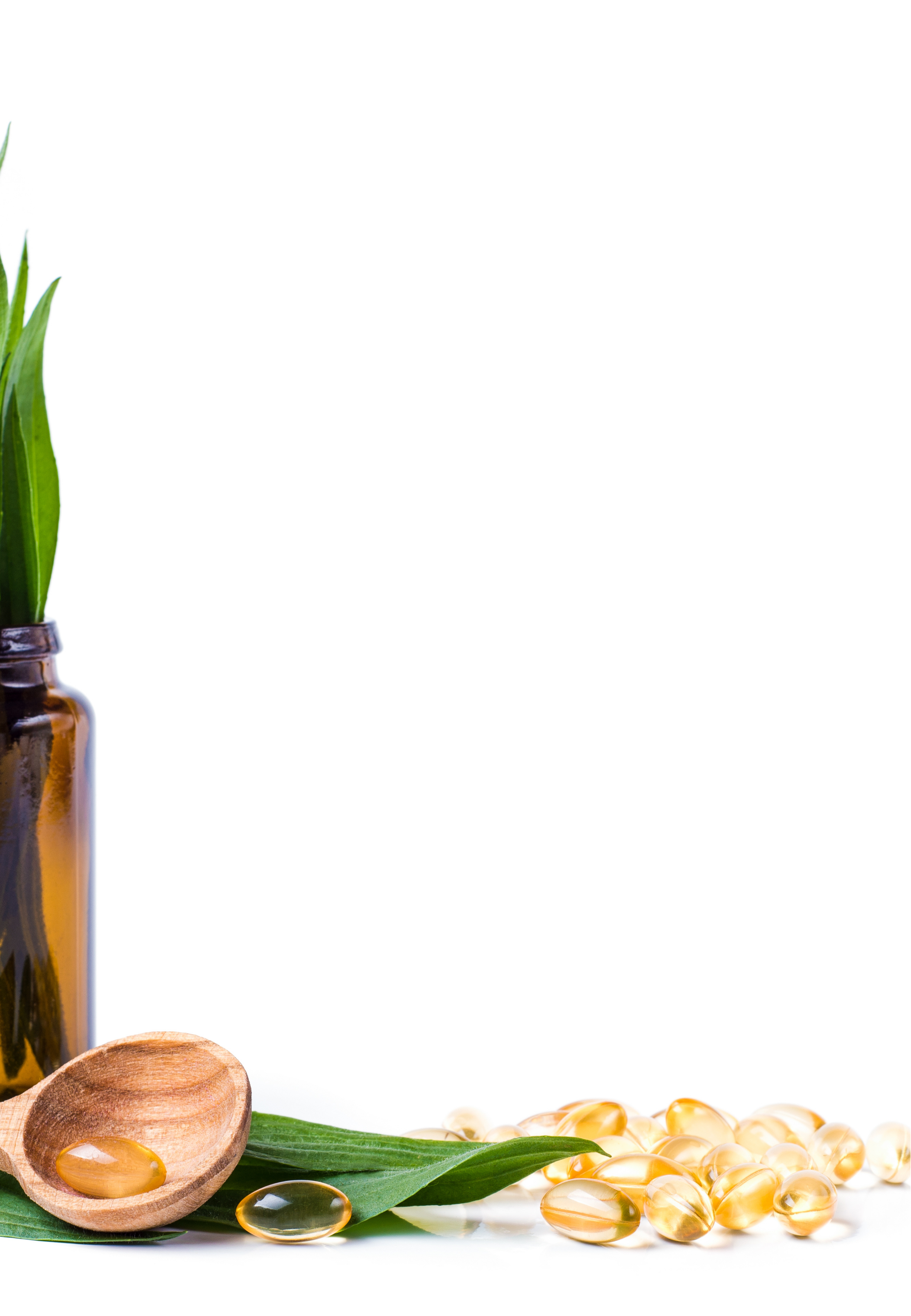 Banner image for desktop
