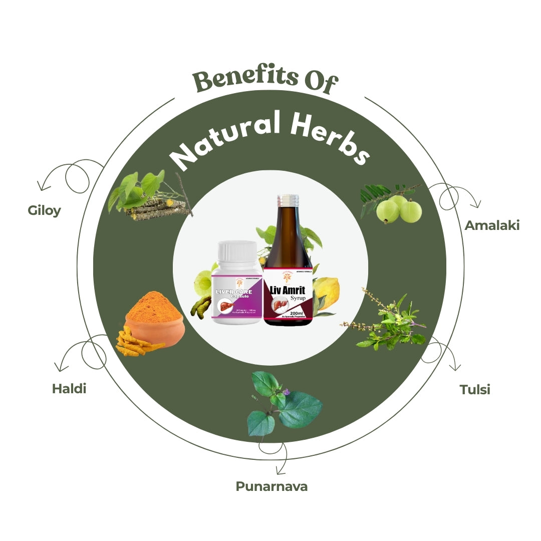 Expert Recommended Fatty Liver Plus Combo