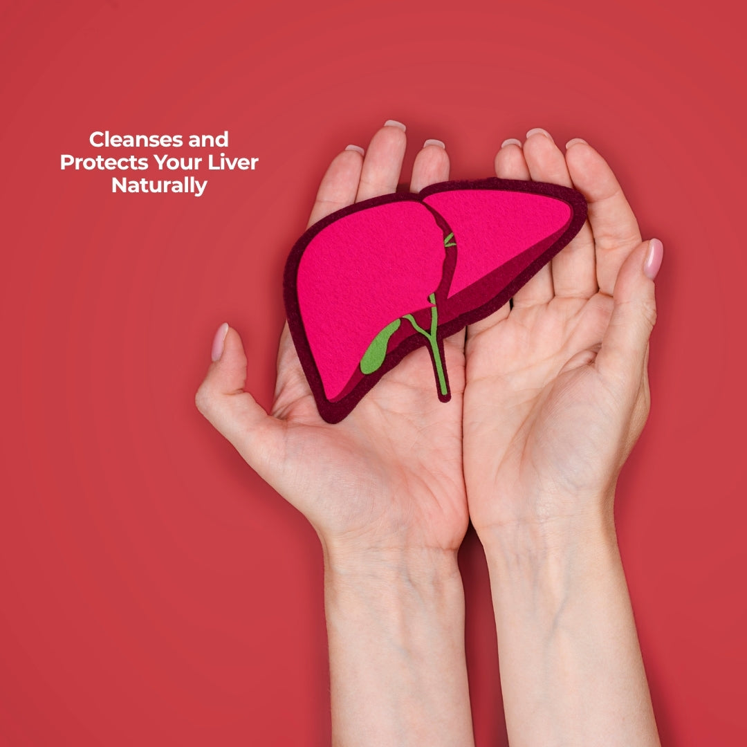 Expert Recommended Fatty Liver Plus Combo