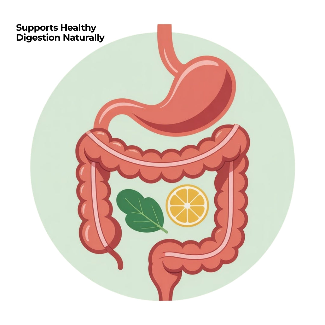 Expert Recommended Digestive Care Plus Combo
