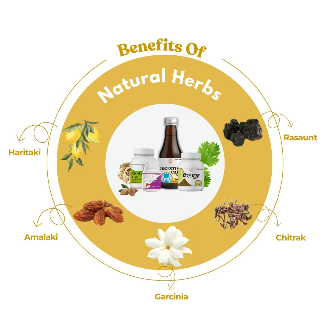 Expert Recommended Digestive Care Plus Combo