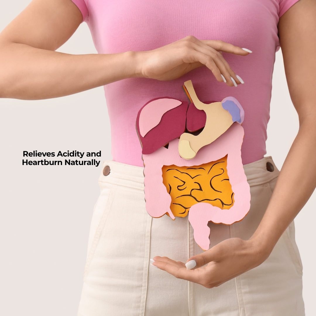 Expert Recommended Digestive Care Plus Combo