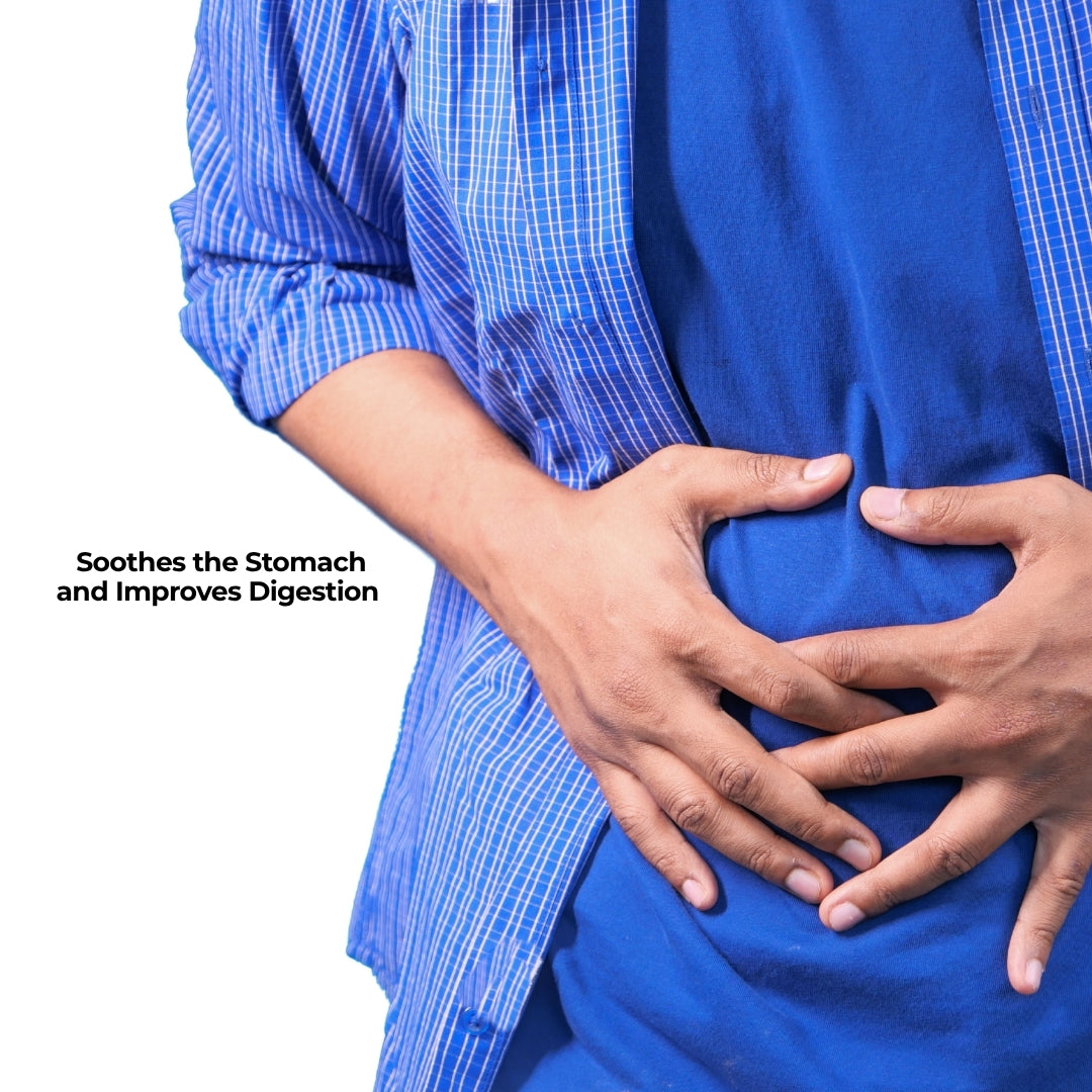 Expert Recommended Digestive Care Plus Combo