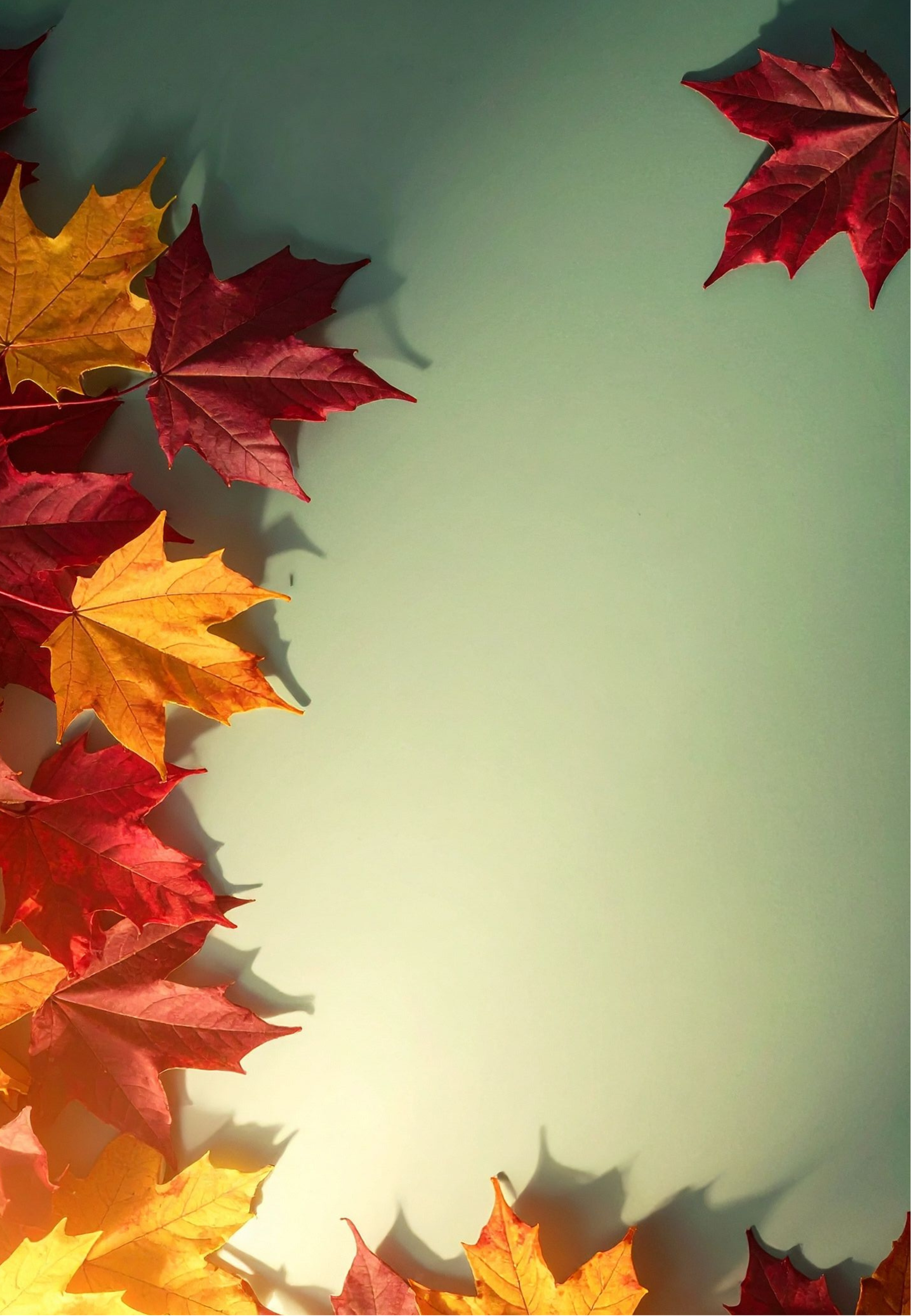 Banner image for desktop