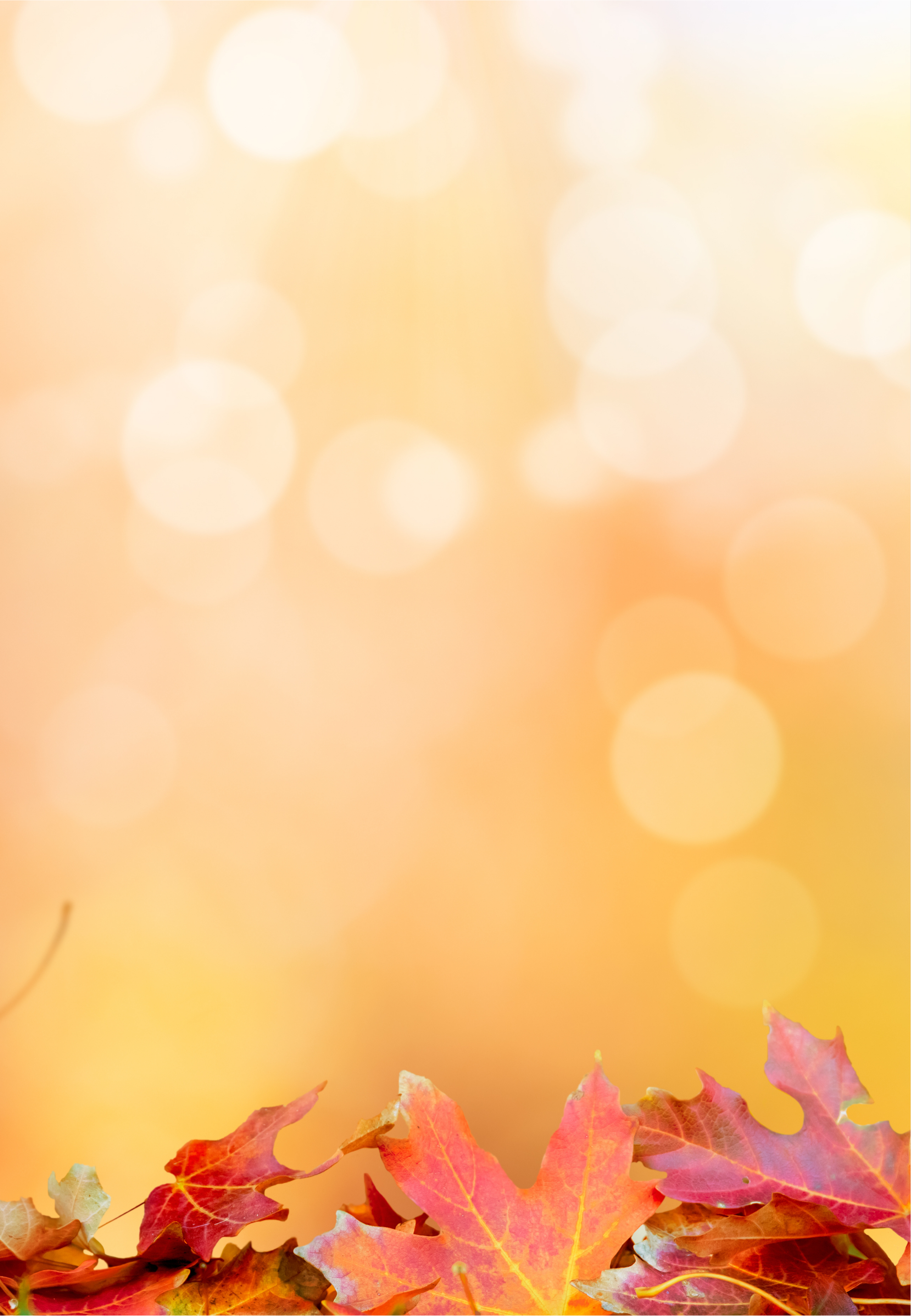 Banner image for desktop
