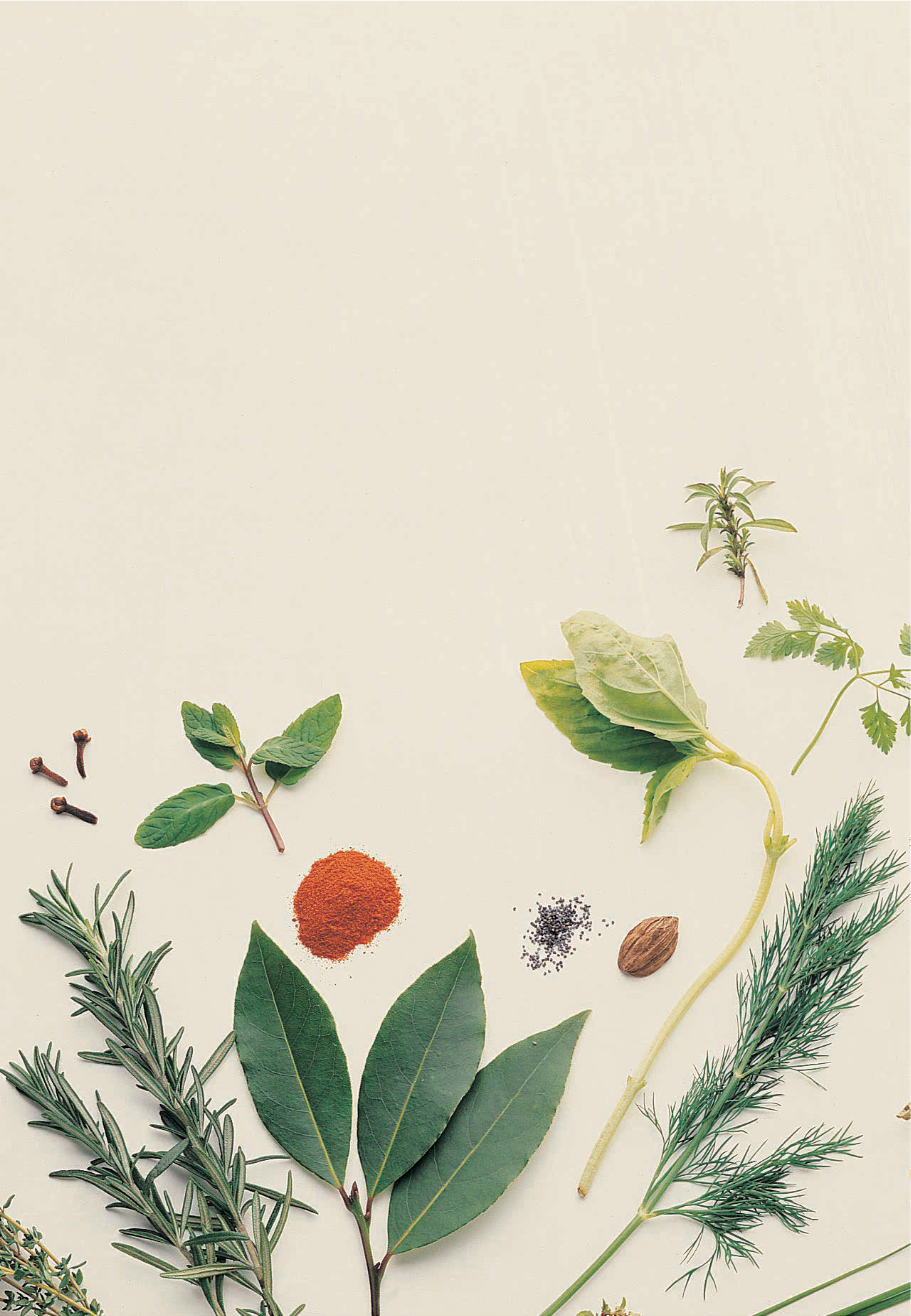 Banner image for desktop