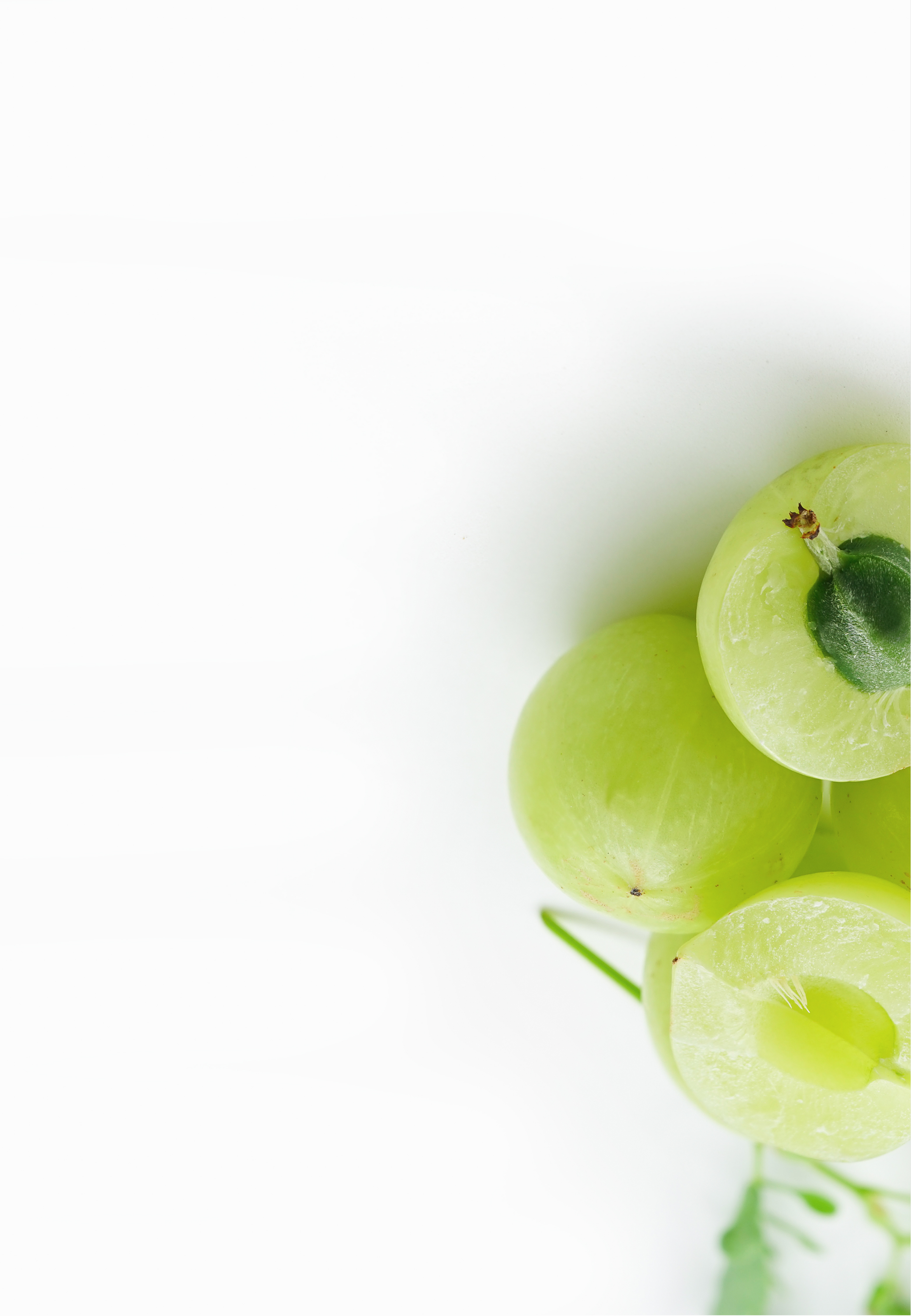 Banner image for desktop