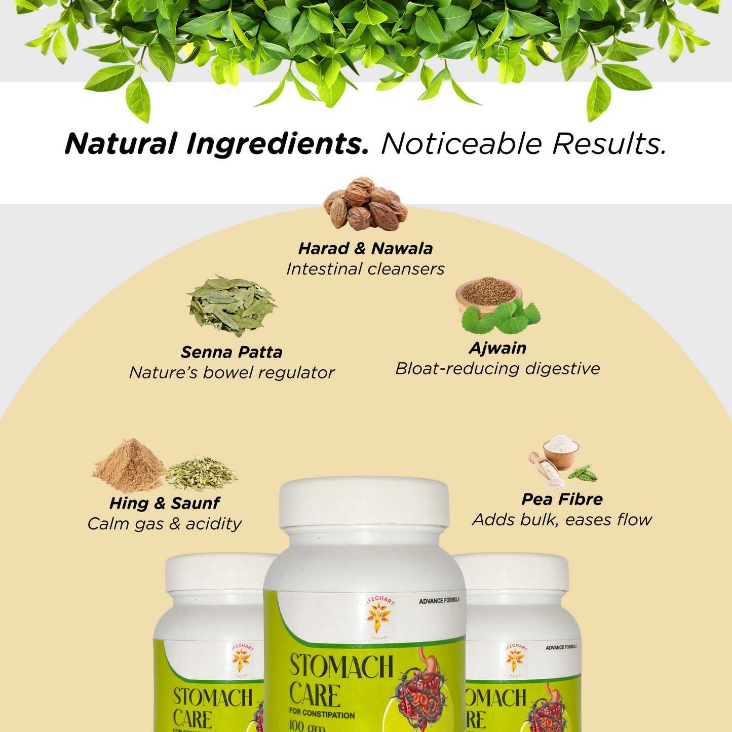 Stomach Care Granules