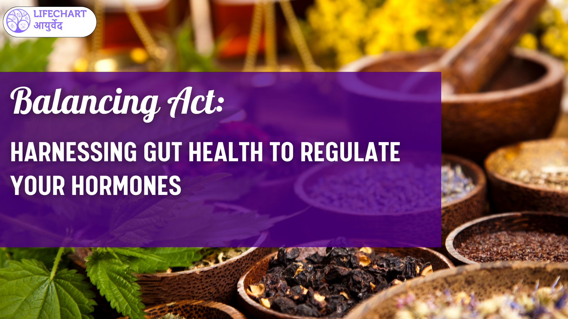 Balancing Act: Harnessing Gut Health to Regulate Your Hormones