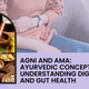 Agni and Ama: Ayurvedic Concepts for Understanding Digestion and Gut Health