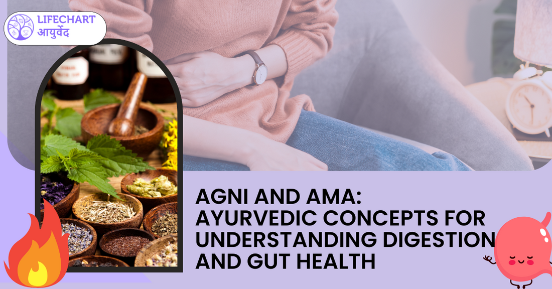 Agni and Ama: Ayurvedic Concepts for Understanding Digestion and Gut Health
