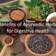 Benefits of Ayurvedic Herbs for Digestive Health