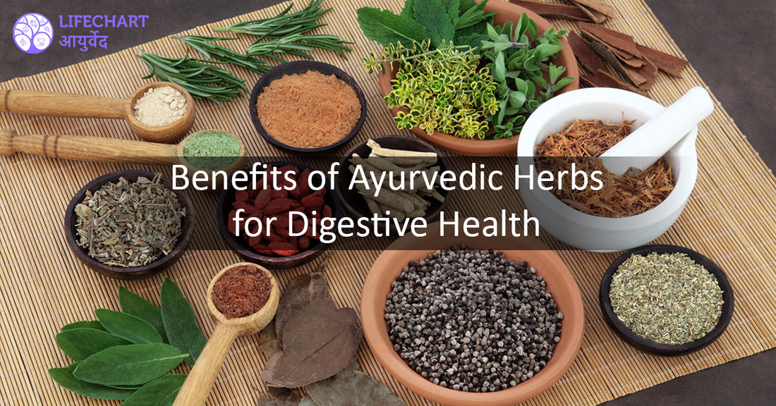 Benefits of Ayurvedic Herbs for Digestive Health