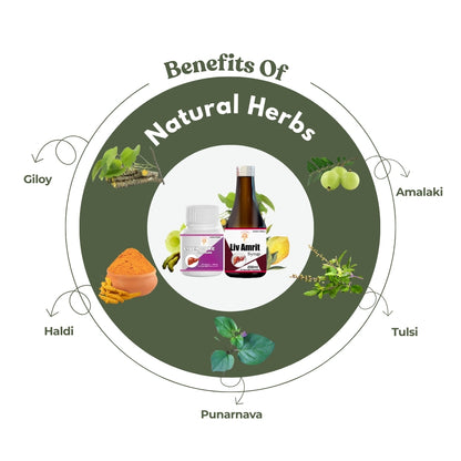 Expert Recommended Fatty Liver Plus Combo