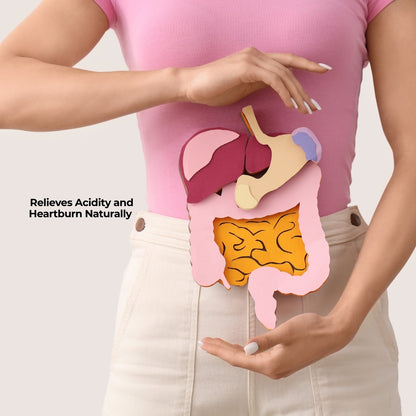 Expert Recommended Digestive Care Plus Combo