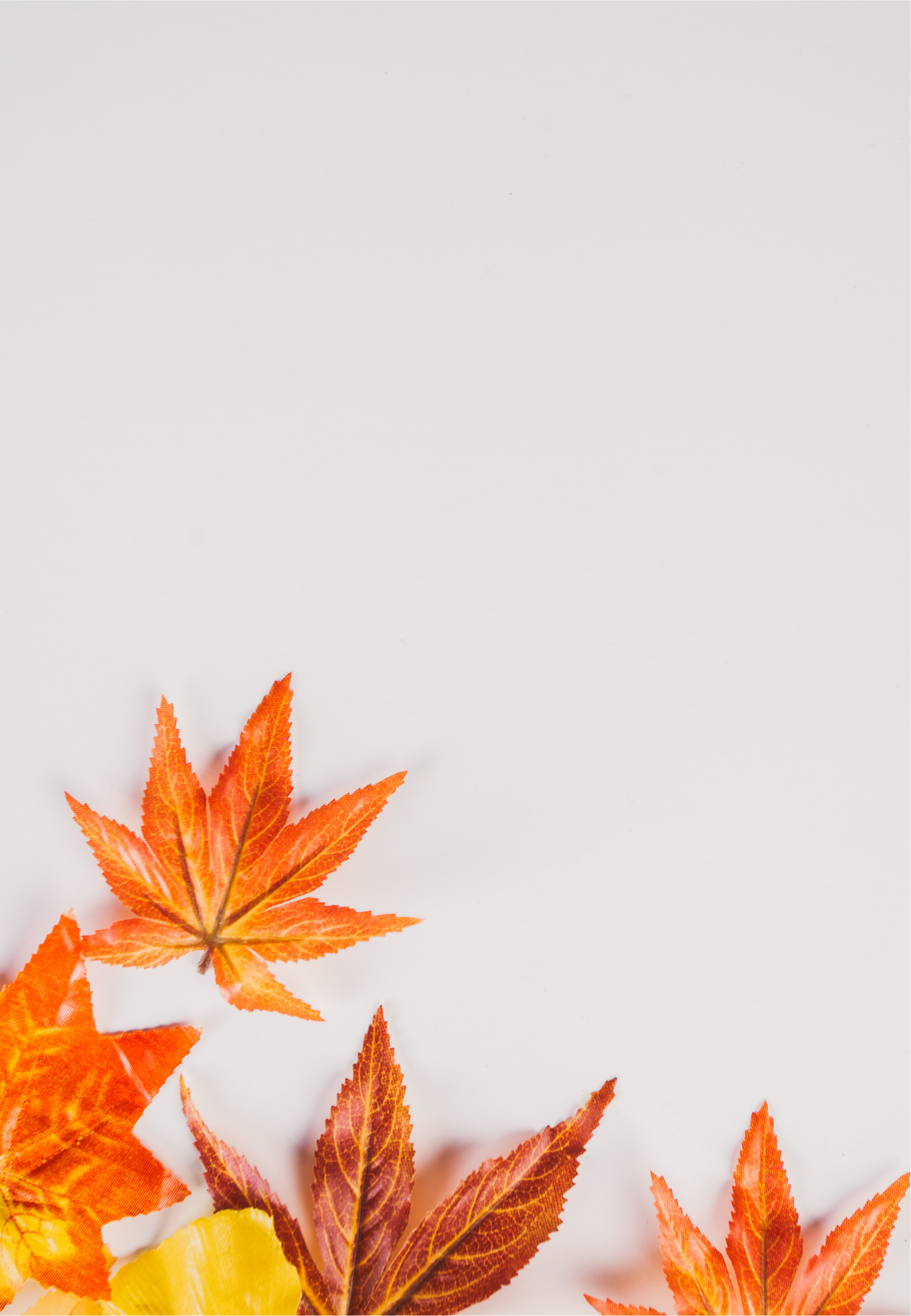 Banner image for desktop