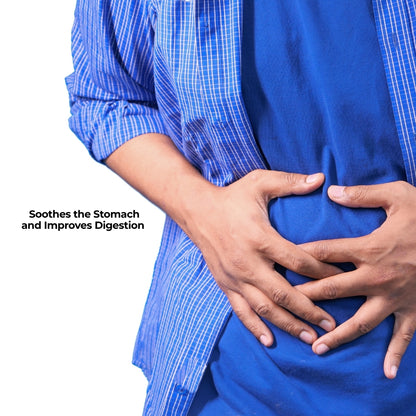 Expert Recommended Digestive Care Plus Combo
