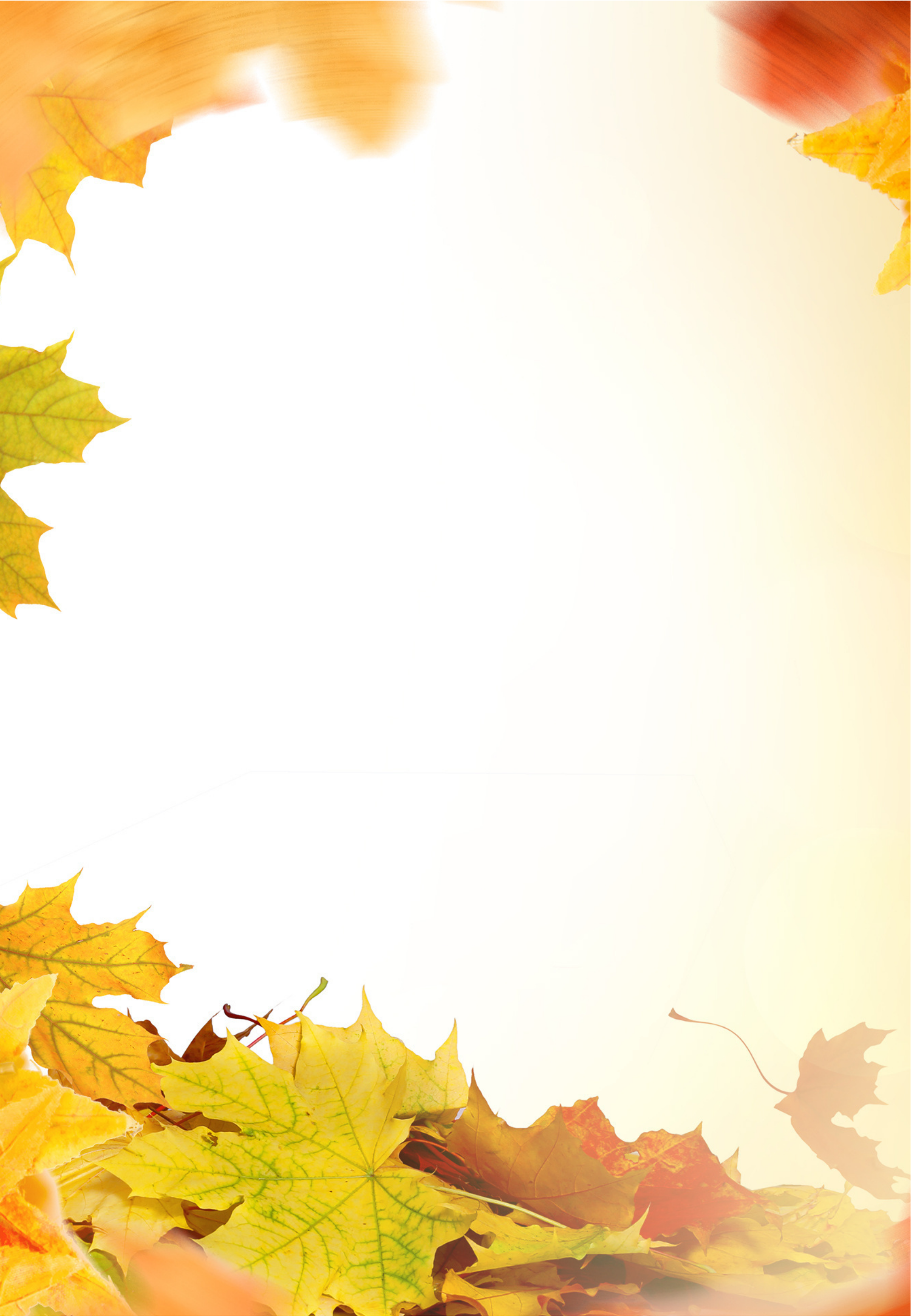 Banner image for desktop