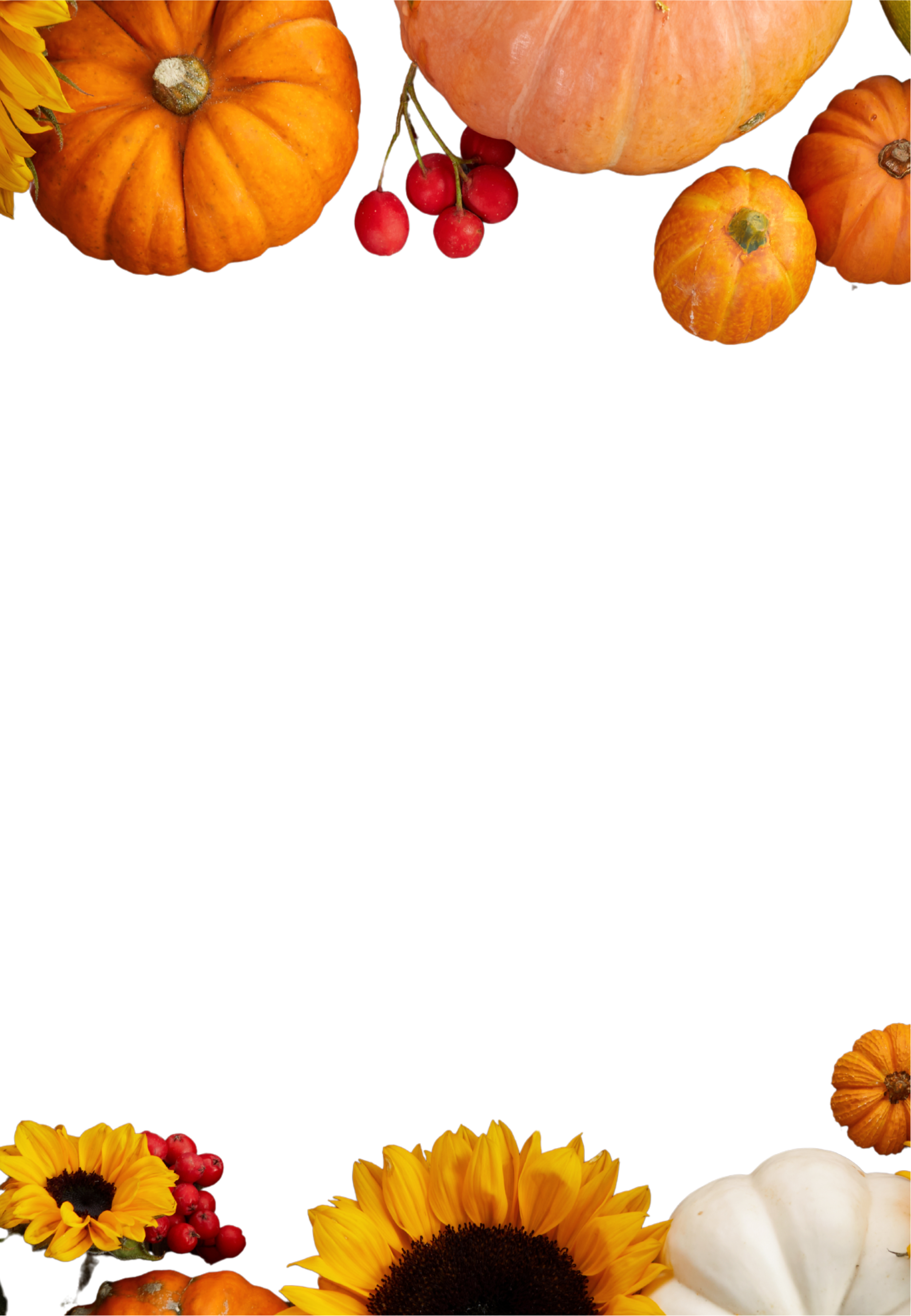 Banner image for desktop