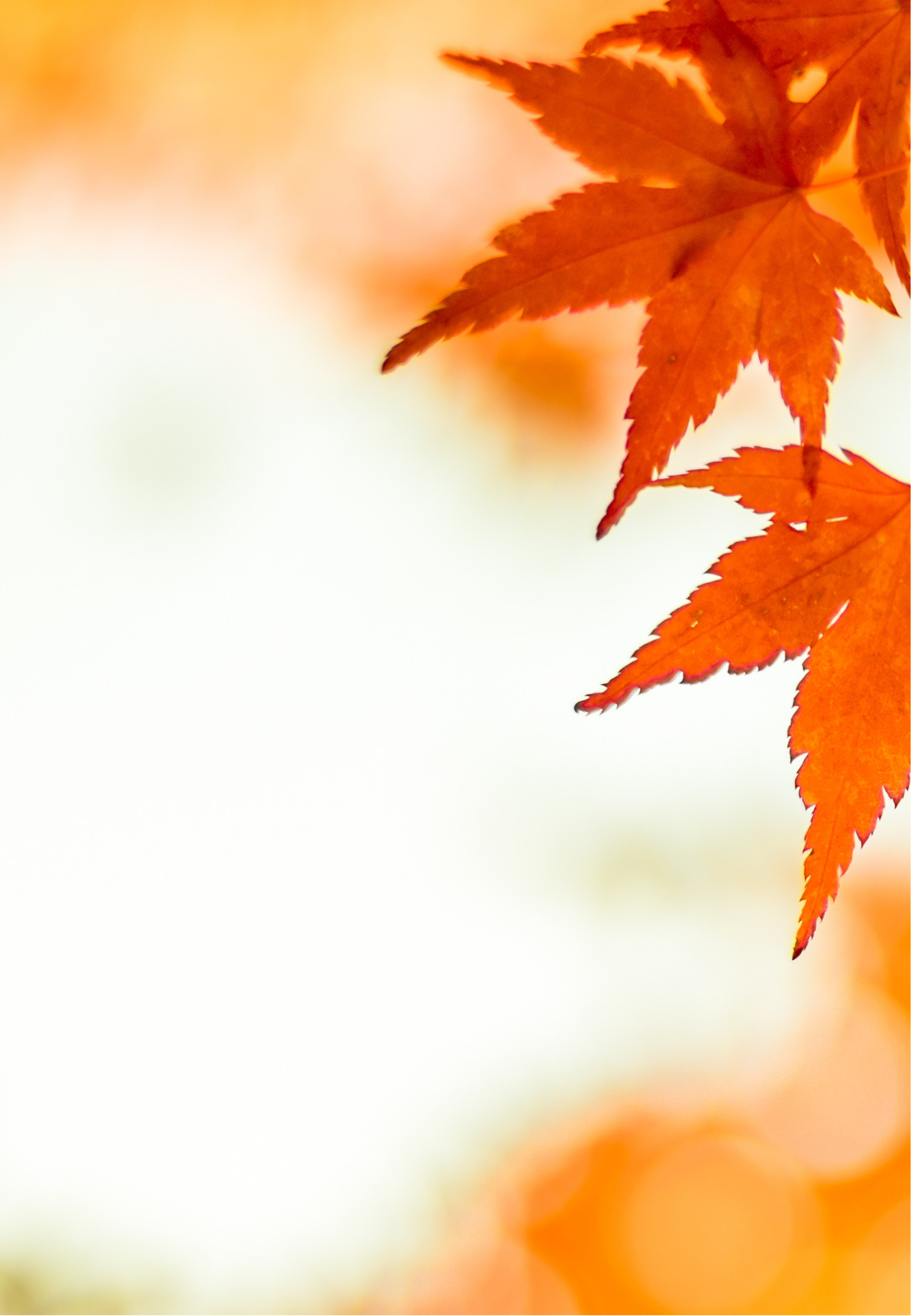 Banner image for desktop