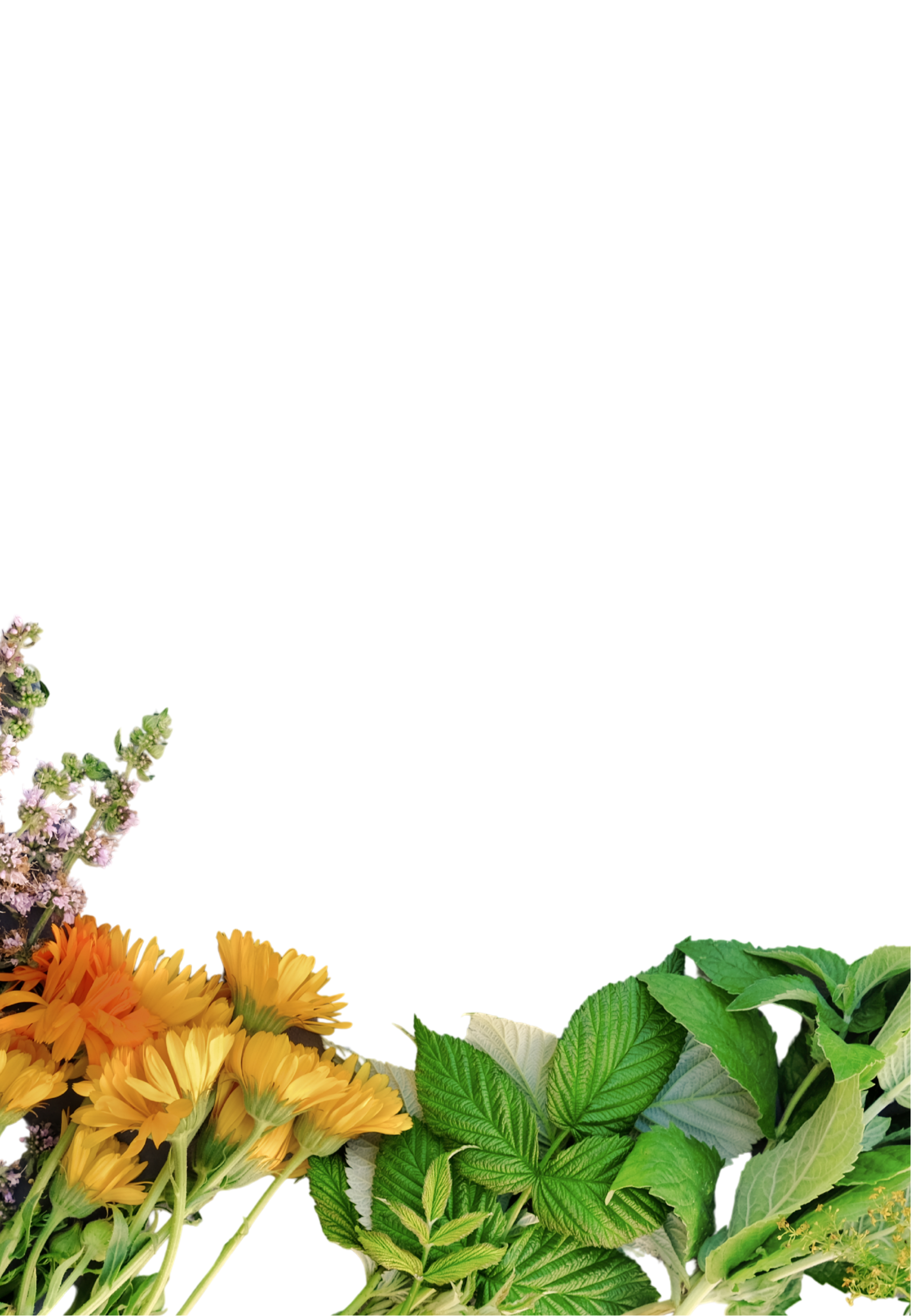 Banner image for desktop