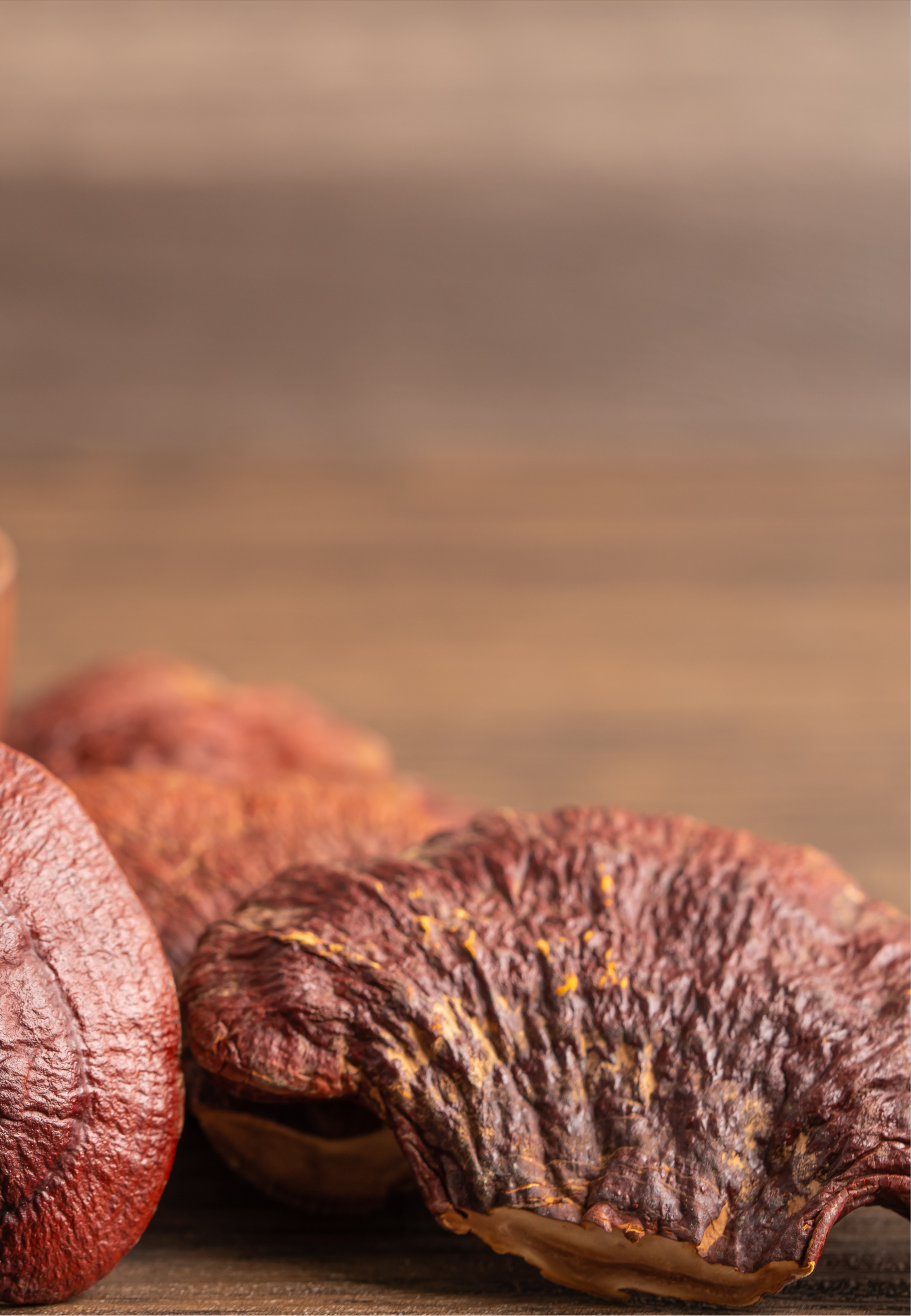 Banner image for desktop