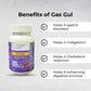 Gas Gul By Lifechart Ayurveda (Instant Relief). All in one Digestive Care Natural Remedy for regular Gas issues(Natural Herb Powder)-FICCI Lab tested